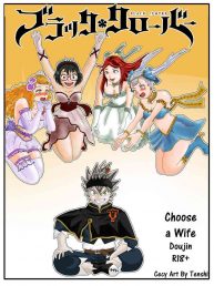 Cover Choose a Wife