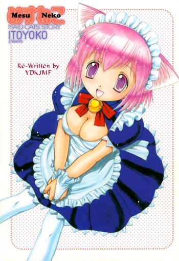 Cover Cat Maids Story ENG