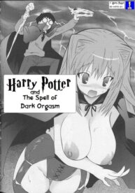 Cover Harry Potter and the Spell of Dark Orgasm