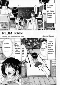 Cover Plum RainEnglish