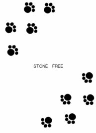 Cover STONE FREE